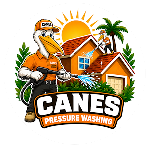 Pressure washing winter garden fl